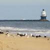 Beaches
